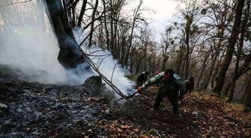  نامه سازمان جنگل‌ها به دادستان کشور برای تشدید برخورد با عاملان حریق‌های عمدی