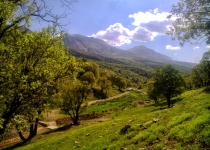 ذخیره ۴۰ درصد از آب کشور توسط پوشش گیاهی «زاگرس»