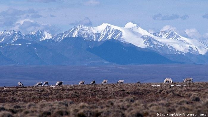 به دستور بایدن پناهگاه ملی حیات وحش قطب شمال از حفاری مصون می‌ماند