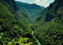 بیش از ۵۰۰۰ هکتار جنگل هیرکانی به منابع طبیعی بازگشت