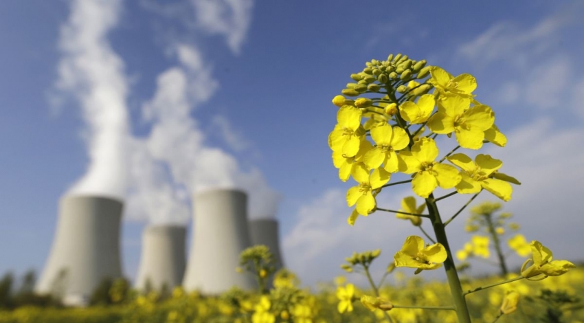 سبز بودن انرژی هسته ای، نیاز به مطالعات بیشتر دارد