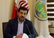 تلاش سازمان جنگل‌ها برای نهایی کردن سند جامع زاگرس تا پایان دولت