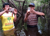 استفاده از فناوری برای جلوگیری از جنگل زدایی در آمازون