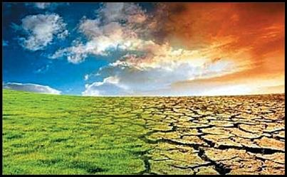  استرس‌های اقلیمی علت عمده ناپایداری  اکوسیستم  زاینده رود/ آب ورزی کنیم به جای کشاورزی