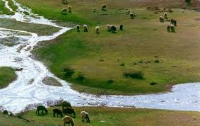 دستگیری ۴۸۹‌ متخلف زیست محیطی در لرستان