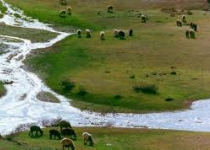 دستگیری ۴۸۹‌ متخلف زیست محیطی در لرستان