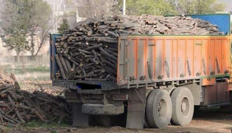 قاچاق چوب