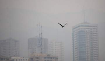دوراهی آلودگی هوا و معیشت