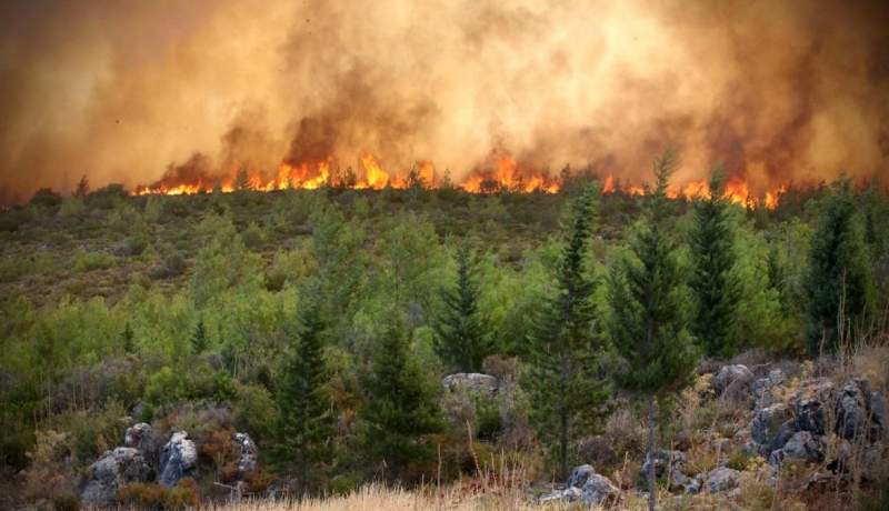 چالش‌ها و راهکارهای مقابله با آتش سوزی‏ جنگل‌ها در کنوانسیون تنوع زیستی