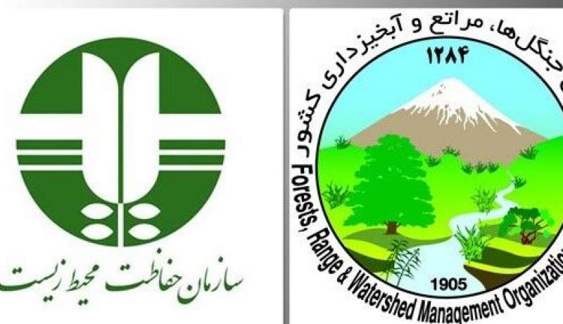 ماجرای ادغام دو سازمان محیطزیست و جنگلها چیست؟ ماجرای ادغام دو سازمان محیطزیست و جنگلها چیست؟