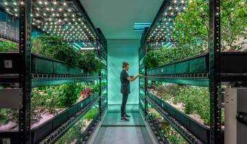حرکت به سوی آینده سبز با کشاورزی شهری