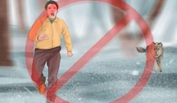 چرا حمله حیوانات وحشی به انسان‌ها افزایش یافته است؟