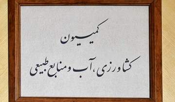 ​دستورالعمل کشت فراسرزمینی ابلاغ شده است/ بیش از هفت میلیون تن گندم از کشاورزان خریداری شده است