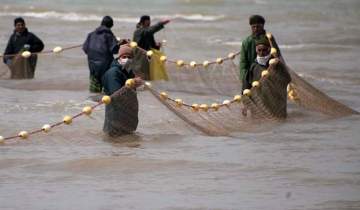 ممنوعیت صید تجاری ماهیان خاویاری خزر تمدید شد