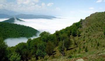 سند مدیریت پایدار جنگل‌های زاگرس نهایی شد