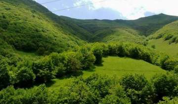 برنامه‌ریزی برای مقابله با تخلفات و حفاظت از منابع طبیعی در دیدار رؤسای دو دستگاه نظارتی
