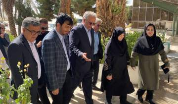 رئیس سازمان محیط زیست برای بررسی بحران حقابه هامون وارد سیستان شد
