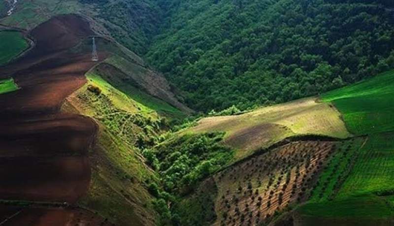 حراج جنگلهای هیرکانی به قیمت «هیچ»؛ چرا سراوان دوباره ۵ هکتار بلعید؟ حراج جنگلهای هیرکانی به قیمت «هیچ»؛ چرا سراوان دوباره ۵ هکتار بلعید؟