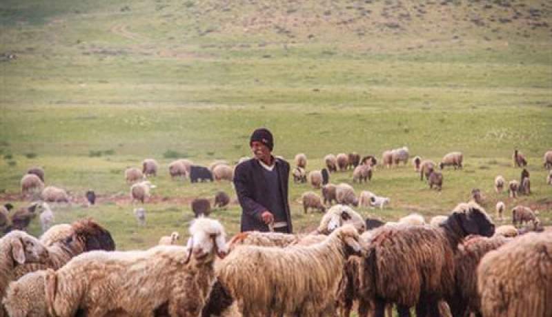 اختصاص ۱۰ هزار میلیارد تومان برای رفع تنش آبی مناطق روستایی و عشایری اختصاص ۱۰ هزار میلیارد تومان برای رفع تنش آبی مناطق روستایی و عشایری