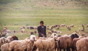 اختصاص ۱۰ هزار میلیارد تومان برای رفع تنش آبی مناطق روستایی و عشایری