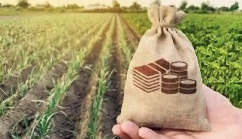 ضرورت اصلاح الگوی مصرف برق چاه‌های کشاورزی برای جلوگیری از قبوض سنگین