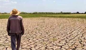 ایران و اسکاپ همکاری منطقه‌ای برای مدیریت خشکسالی را گسترش می‌دهند