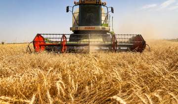 استراتژی جدید وزارت جهاد کشاورزی برای رفع گلوگاه‌های تولید و ارتقای امنیت غذایی