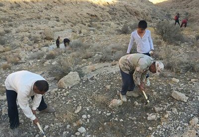 15- قرار سبز در شهر خور استان فارس