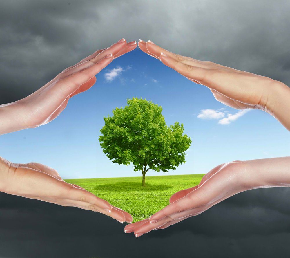 مشارکت در حفظ محیط زیست