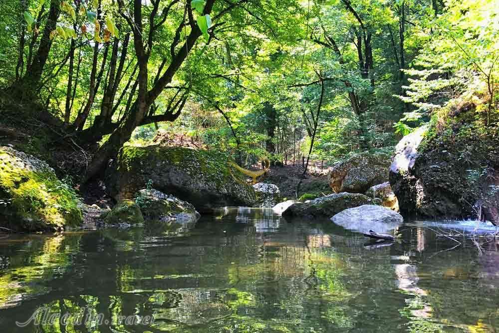 دست محیط زیست برای تالاب فعلا بسته است 