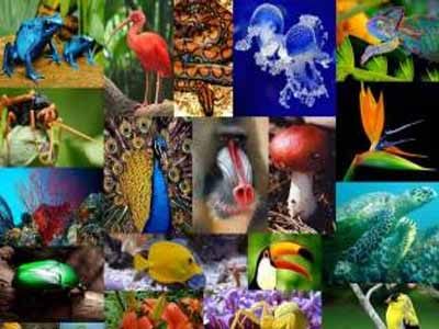 تنوع زیستی در ایران