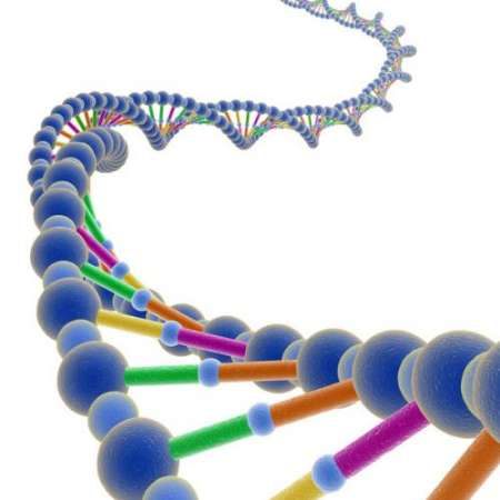 الگوی DNA
