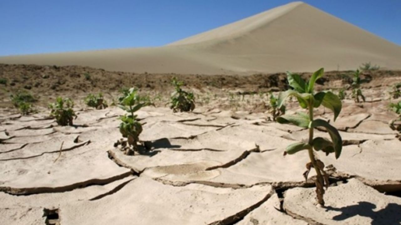 پیش‌ بینی خشکسالی و بحران‌های آبی از طریق علمی