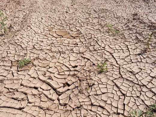  آمار تکان‌ دهنده‌ای از خشکسالی در ایران