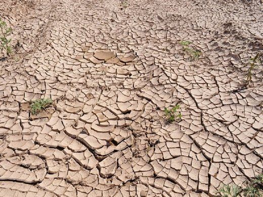 ضرورت تلفیق دانش بومی و نوین