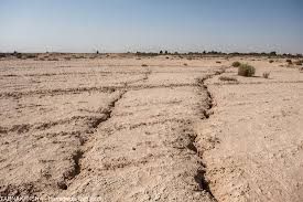 اثرات خشکسالی