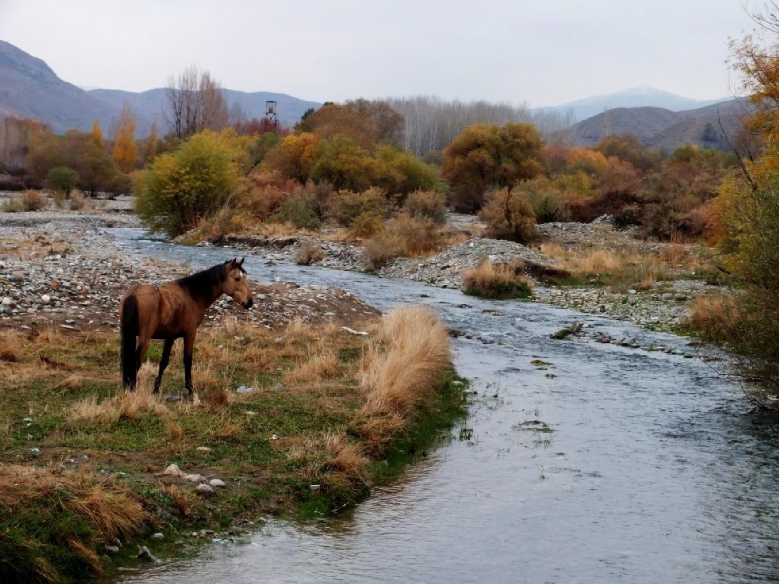 پارک ملی خجیر