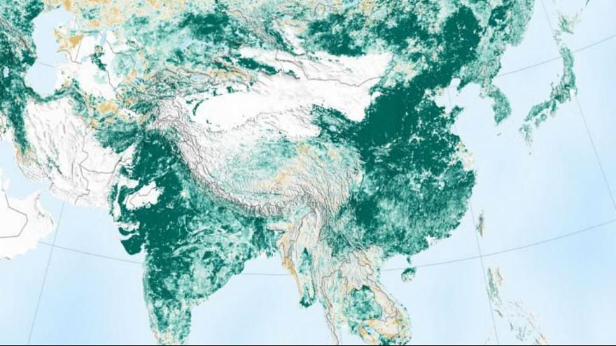 تصویر ماهواره ای ناسا از پوشش گیاهی زمین