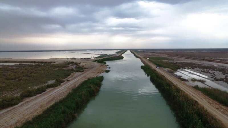 تالاب شادگان در خوزستان