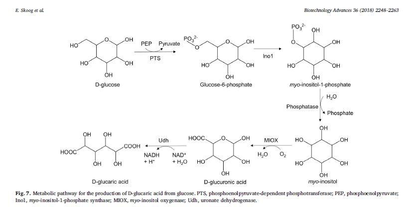 ساختار شیمیایی آدیپیک اسید