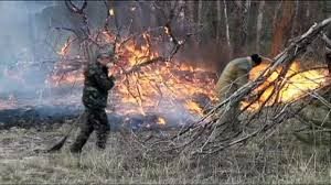 آتش سوزی در جنگلهای اوکراین
