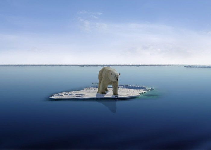 تغییرات اقلیمی در منطقه‌ی قطب موجب افزایش سطح دریا در سرتاسر جهان می‌شود