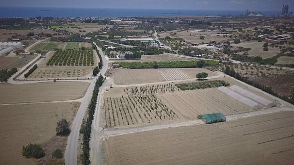 محققان اروپایی در این مزرعه آزمایشی به مساحت ۱۱ هکتار، روی بیش از ۲۰ گونه گیاه کار می‌کنن