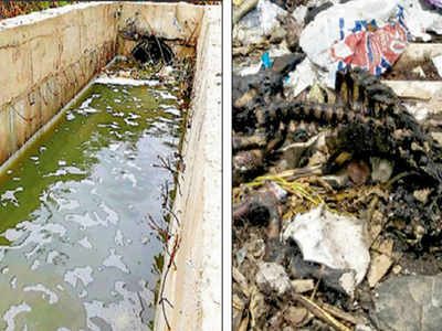 ظرفیت استان قزوین برای کاهش زباله