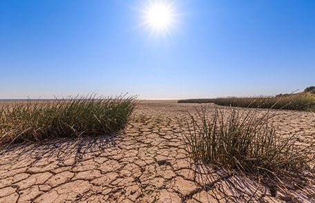 ۹۷ درصد مساحت ایران تحت تاثیر خشکسالی است