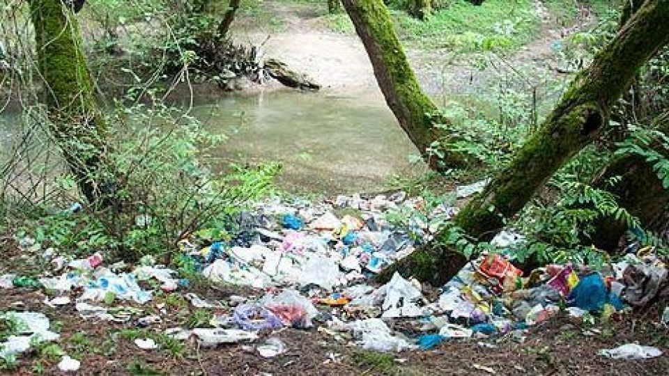 زباله های پلاستکی حیات وحش را نابود می کند