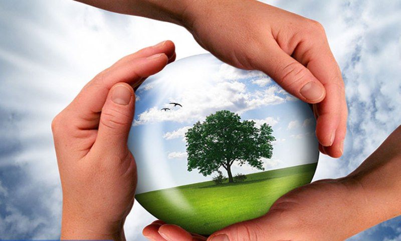 توسعه صنعتی و پایداری محیط زیست دو موضوع همگام هستند