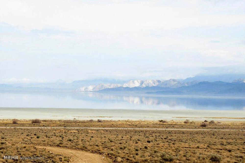 تالابهای استان فارس که دچار خشکسالی شده بودند