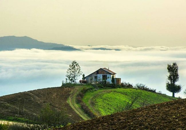 جنگل فیلبند مازندران