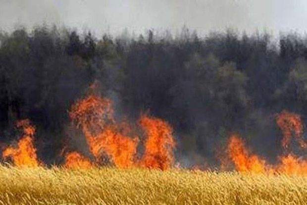 50 درصد جنگل‌های خراسان شمالی در معرض آتش‌سوزی